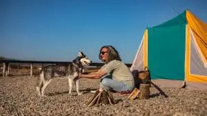 Are Huskies Good Camping Dogs? 7 Things To Consider