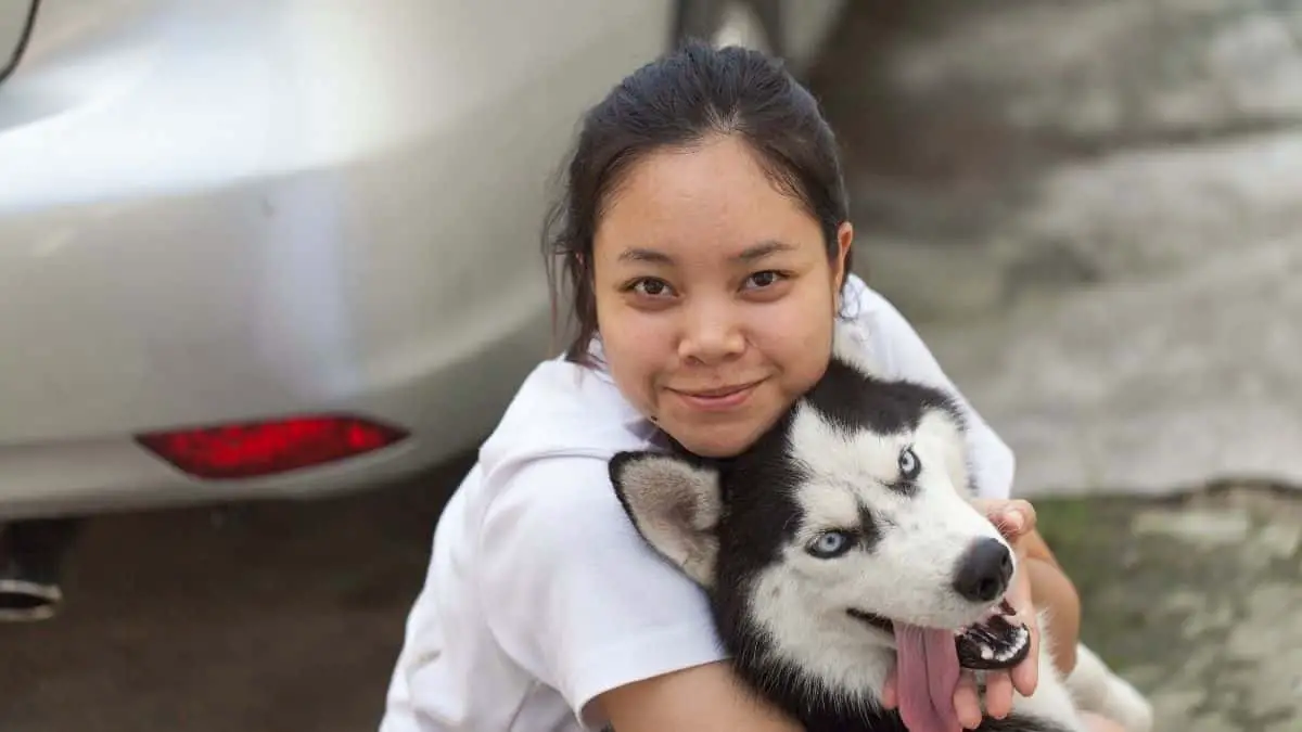 Are Siberian Huskies One-Person Dogs